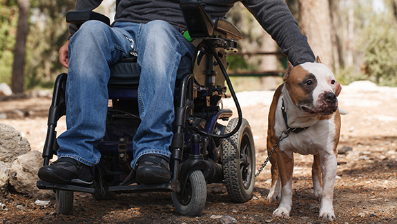 man-in-wheelchair-outdoors-petting-his-dog-what-you-should-know-about-catheterization-with-SCI